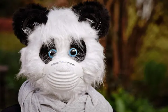 كازينو هوت لاين الدعم